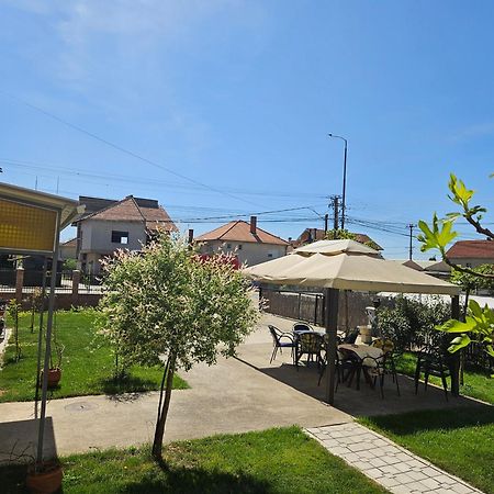 Apartments Kuca Aleksic Nis Ngoại thất bức ảnh